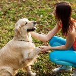 DC Dog Grooming: A Vital Service for the Urban Canine